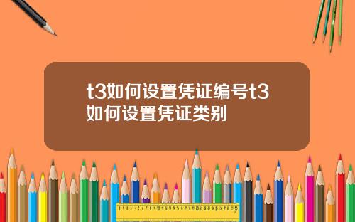 t3如何设置凭证编号t3如何设置凭证类别