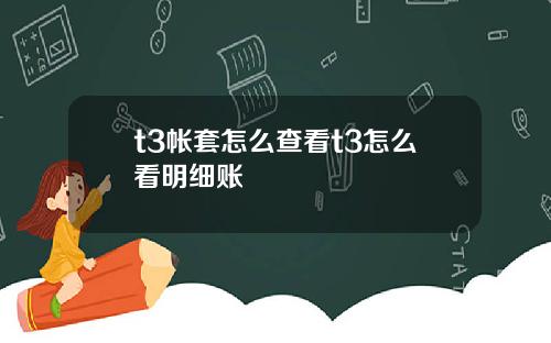 t3帐套怎么查看t3怎么看明细账