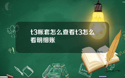 t3帐套怎么查看t3怎么看明细账