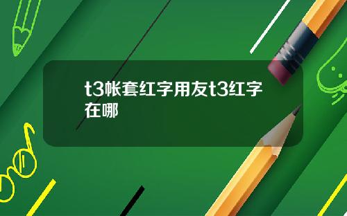 t3帐套红字用友t3红字在哪