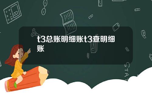t3总账明细账t3查明细账