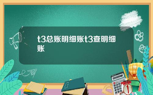 t3总账明细账t3查明细账