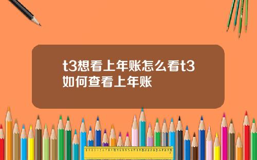 t3想看上年账怎么看t3如何查看上年账