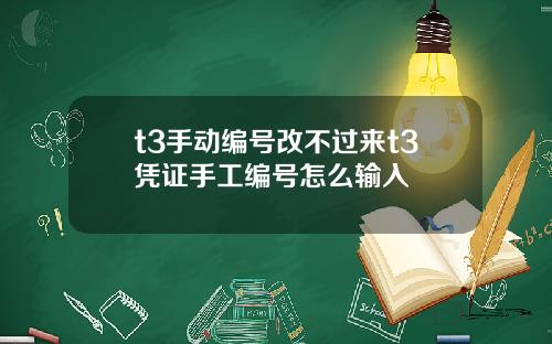 t3手动编号改不过来t3凭证手工编号怎么输入