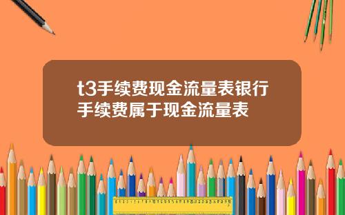 t3手续费现金流量表银行手续费属于现金流量表