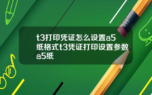 t3打印凭证怎么设置a5纸格式t3凭证打印设置参数a5纸