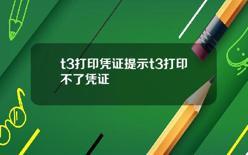 t3打印凭证提示t3打印不了凭证