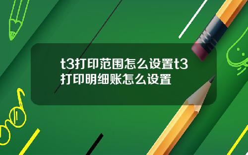 t3打印范围怎么设置t3打印明细账怎么设置