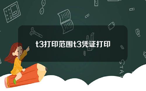 t3打印范围t3凭证打印