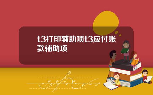 t3打印辅助项t3应付账款辅助项