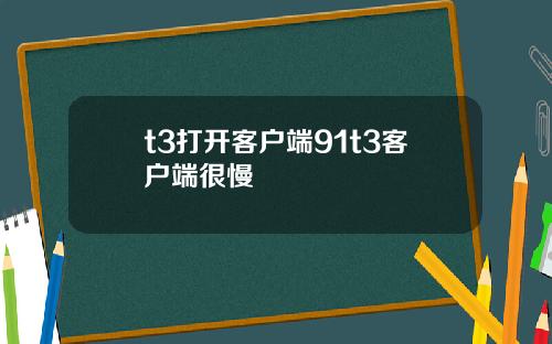 t3打开客户端91t3客户端很慢