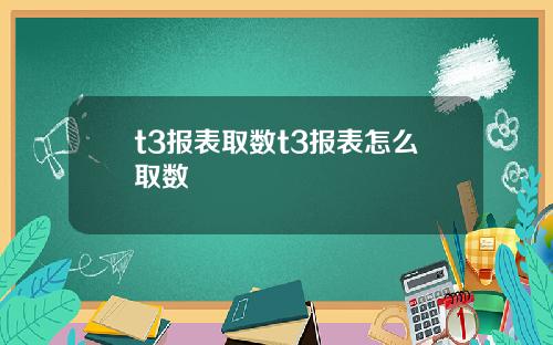 t3报表取数t3报表怎么取数