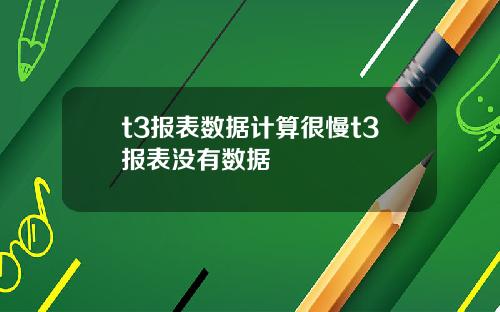 t3报表数据计算很慢t3报表没有数据