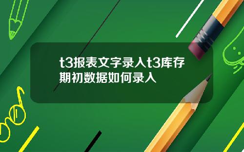 t3报表文字录入t3库存期初数据如何录入