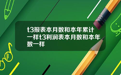 t3报表本月数和本年累计一样t3利润表本月数和本年数一样