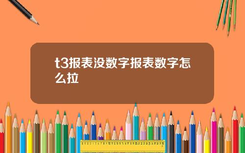 t3报表没数字报表数字怎么拉