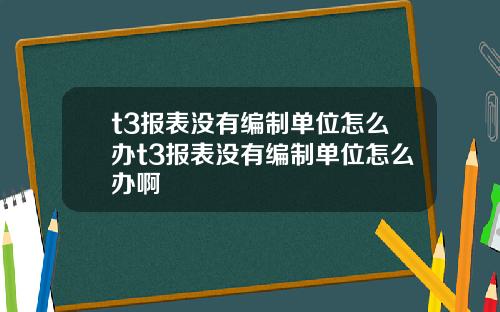 t3报表没有编制单位怎么办t3报表没有编制单位怎么办啊