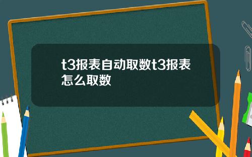 t3报表自动取数t3报表怎么取数