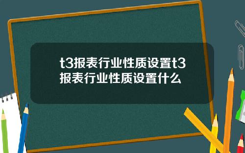 t3报表行业性质设置t3报表行业性质设置什么