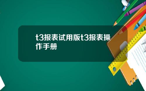 t3报表试用版t3报表操作手册