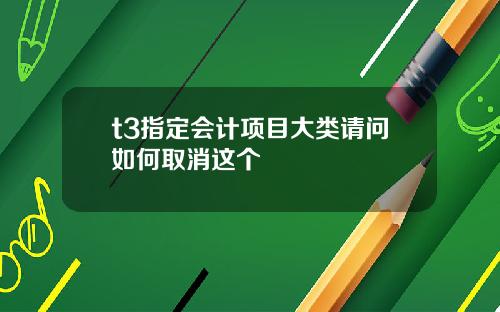 t3指定会计项目大类请问如何取消这个