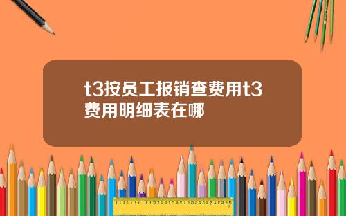 t3按员工报销查费用t3费用明细表在哪