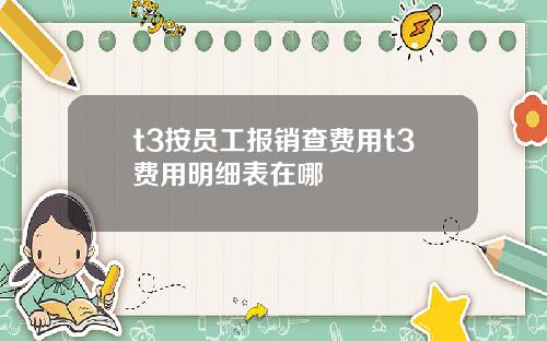 t3按员工报销查费用t3费用明细表在哪