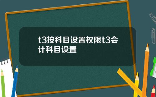 t3按科目设置权限t3会计科目设置