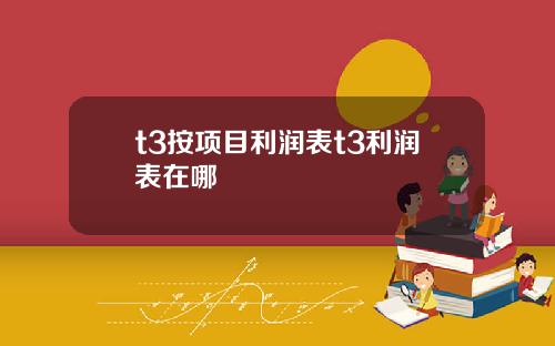t3按项目利润表t3利润表在哪