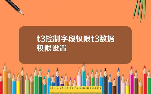 t3控制字段权限t3数据权限设置