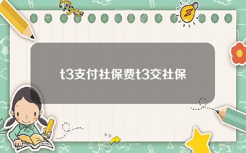 t3支付社保费t3交社保