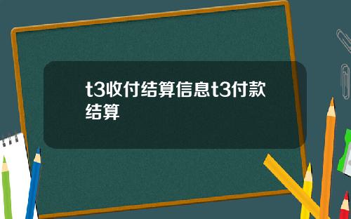 t3收付结算信息t3付款结算