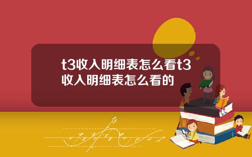 t3收入明细表怎么看t3收入明细表怎么看的