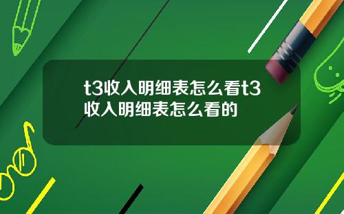 t3收入明细表怎么看t3收入明细表怎么看的