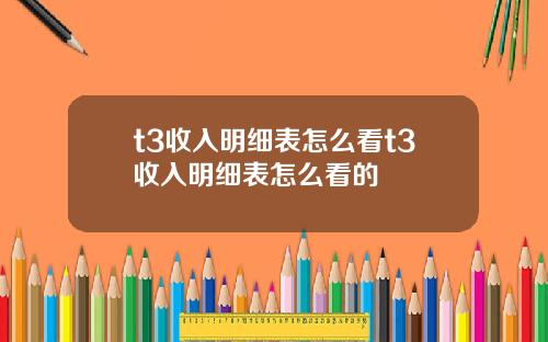 t3收入明细表怎么看t3收入明细表怎么看的
