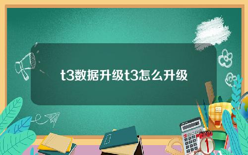 t3数据升级t3怎么升级