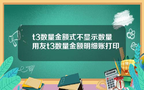 t3数量金额式不显示数量用友t3数量金额明细账打印