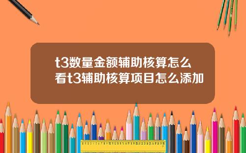 t3数量金额辅助核算怎么看t3辅助核算项目怎么添加