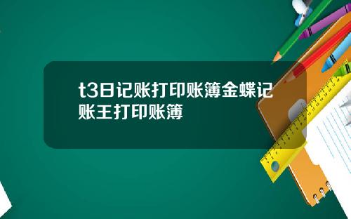t3日记账打印账簿金蝶记账王打印账簿