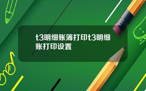 t3明细账簿打印t3明细账打印设置