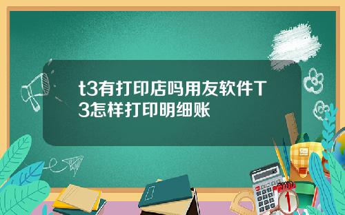 t3有打印店吗用友软件T3怎样打印明细账