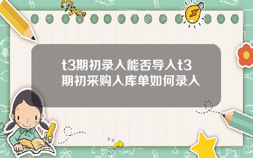 t3期初录入能否导入t3期初采购入库单如何录入