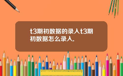 t3期初数据的录入t3期初数据怎么录入.