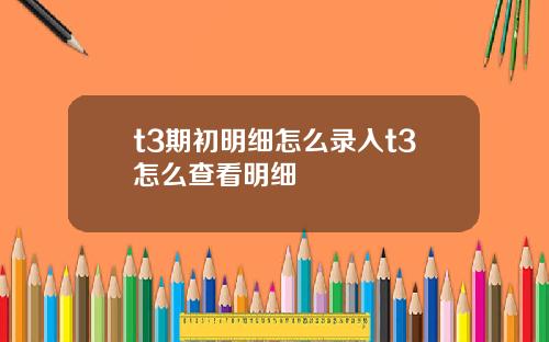t3期初明细怎么录入t3怎么查看明细