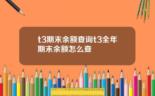 t3期末余额查询t3全年期末余额怎么查