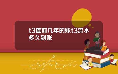 t3查前几年的账t3流水多久到账