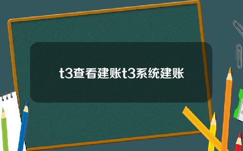 t3查看建账t3系统建账