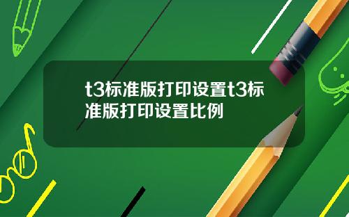 t3标准版打印设置t3标准版打印设置比例