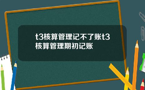 t3核算管理记不了账t3核算管理期初记账