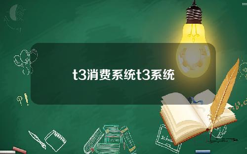 t3消费系统t3系统
